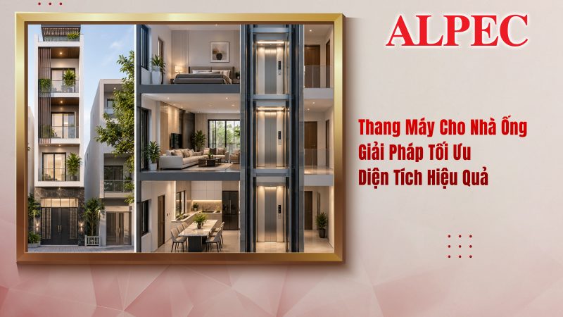 thangmaynhaong